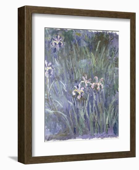 Iris, C.1914-1917-Claude Monet-Framed Giclee Print