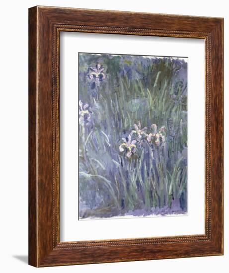 Iris, C.1914-1917-Claude Monet-Framed Giclee Print