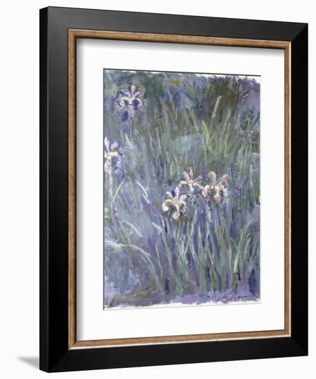 Iris, C.1914-1917-Claude Monet-Framed Giclee Print