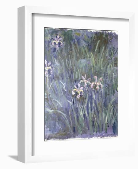 Iris, C.1914-1917-Claude Monet-Framed Giclee Print