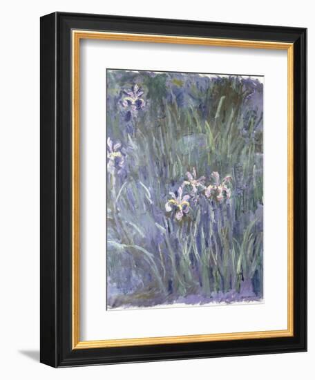 Iris, C.1914-1917-Claude Monet-Framed Giclee Print