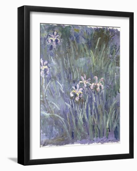 Iris, C.1914-1917-Claude Monet-Framed Giclee Print