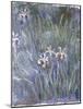 Iris, C.1914-1917-Claude Monet-Mounted Giclee Print