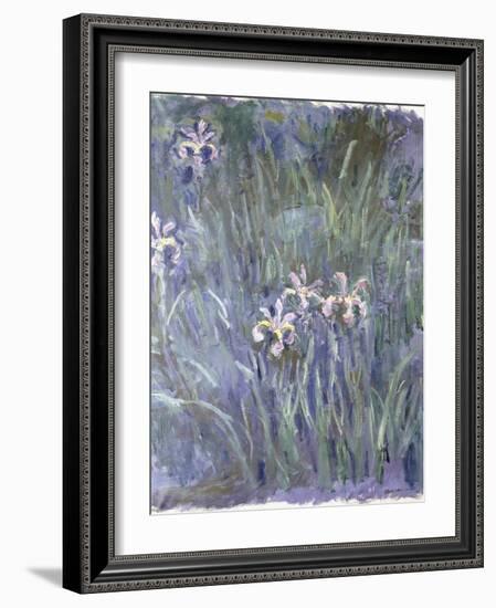 Iris, C.1914-1917-Claude Monet-Framed Giclee Print