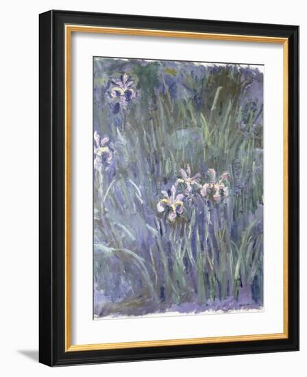 Iris, C.1914-1917-Claude Monet-Framed Giclee Print