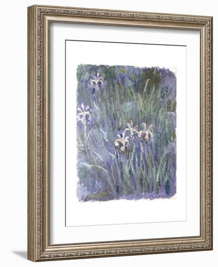 Iris. Ca. 1914-17-Claude Monet-Framed Giclee Print