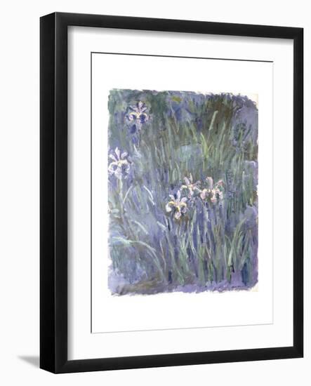 Iris. Ca. 1914-17-Claude Monet-Framed Giclee Print