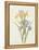 Iris (Colour Engraving)-Pierre-Joseph Redouté-Framed Premier Image Canvas