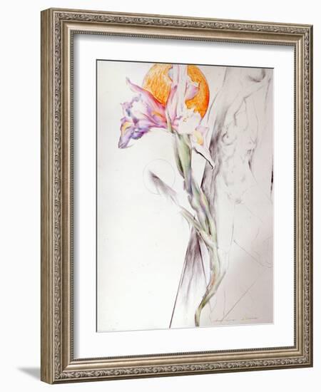 Iris - Composition II-Antonio Ciccone-Framed Giclee Print