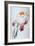 Iris - Composition IV-Antonio Ciccone-Framed Giclee Print