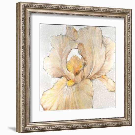 Iris Cream I-Tim OToole-Framed Art Print