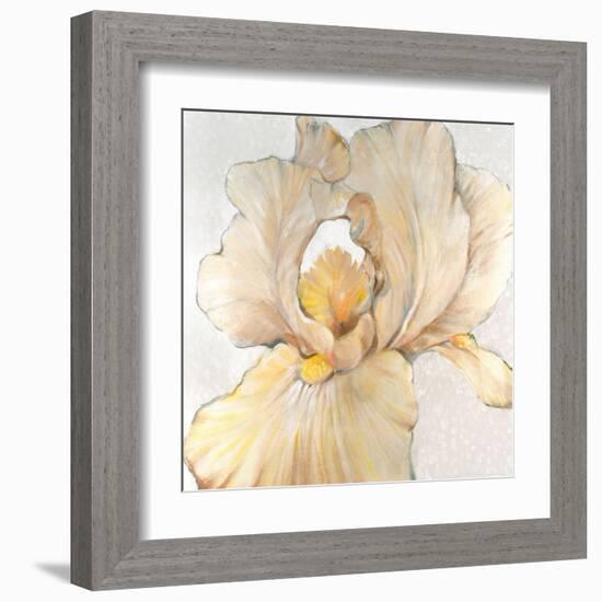 Iris Cream I-Tim OToole-Framed Art Print