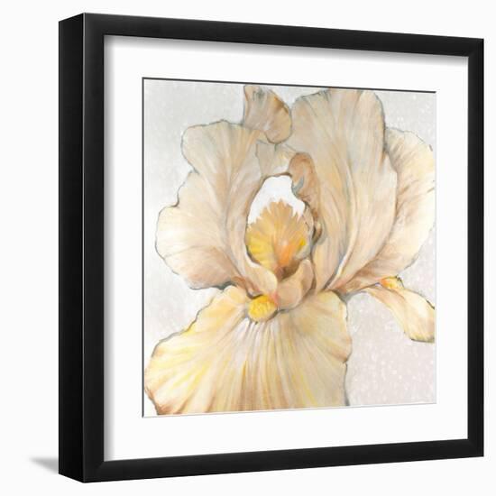 Iris Cream I-Tim OToole-Framed Art Print