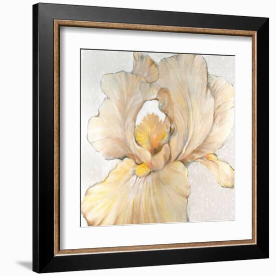 Iris Cream I-Tim OToole-Framed Art Print