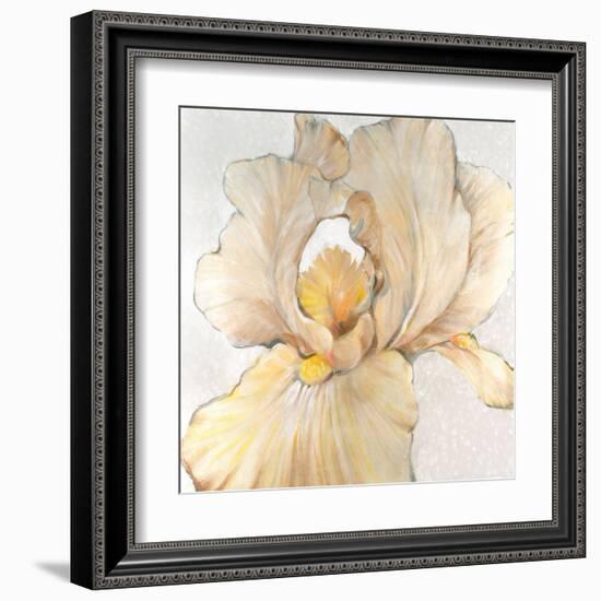 Iris Cream I-Tim OToole-Framed Art Print