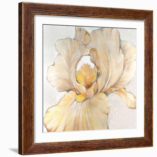 Iris Cream I-Tim OToole-Framed Premium Giclee Print