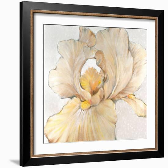 Iris Cream I-Tim OToole-Framed Premium Giclee Print