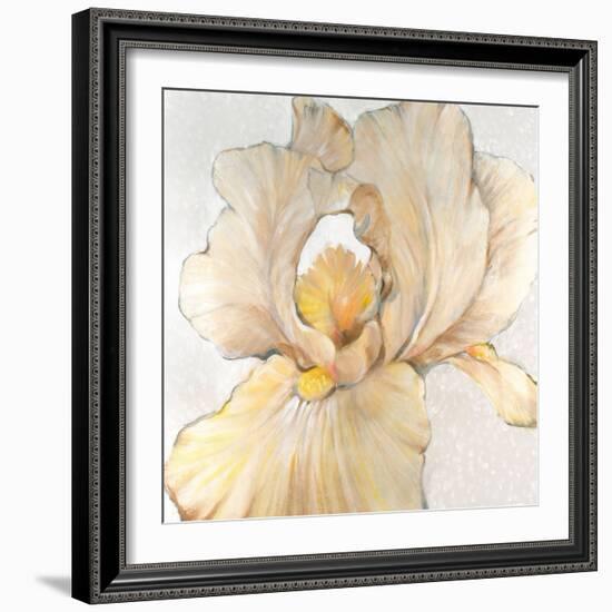 Iris Cream I-Tim OToole-Framed Premium Giclee Print