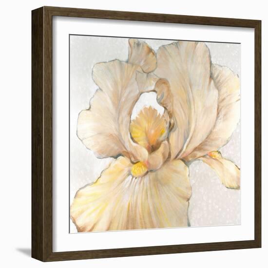 Iris Cream I-Tim OToole-Framed Art Print