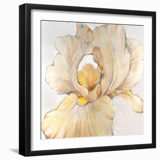 Iris Cream I-Tim OToole-Framed Art Print