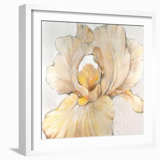 Iris Cream I-Tim OToole-Framed Art Print
