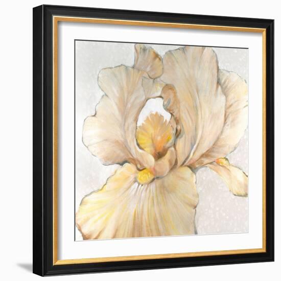 Iris Cream I-Tim OToole-Framed Art Print