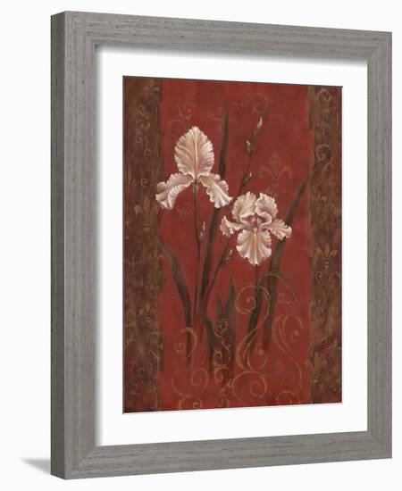 Iris Design-Judy Mastrangelo-Framed Giclee Print