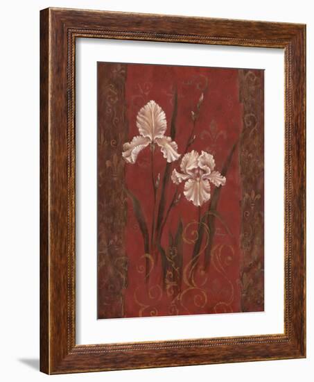 Iris Design-Judy Mastrangelo-Framed Giclee Print