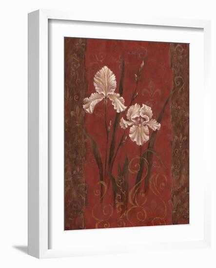 Iris Design-Judy Mastrangelo-Framed Giclee Print