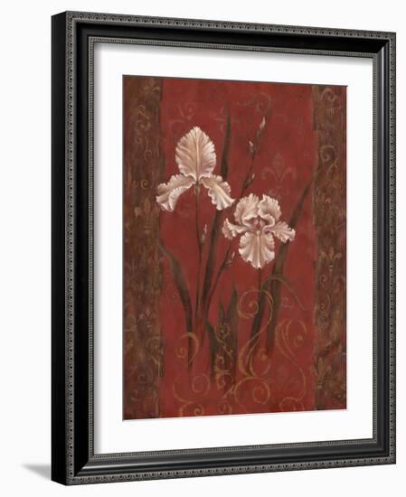 Iris Design-Judy Mastrangelo-Framed Giclee Print