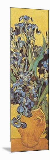 Iris Detail-Vincent van Gogh-Mounted Art Print