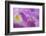 Iris Drop-Ursula Abresch-Framed Photographic Print