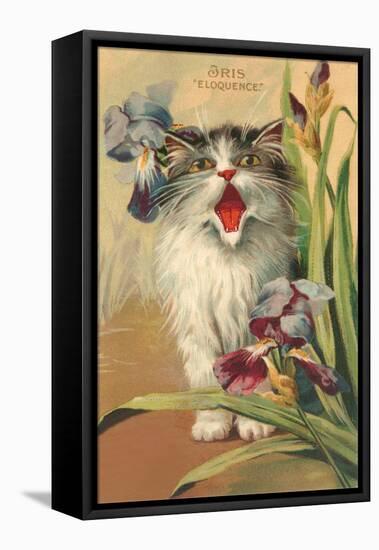 Iris Eloquence with Kitten-null-Framed Stretched Canvas