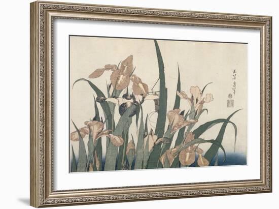 Iris et sauterelle-Katsushika Hokusai-Framed Giclee Print