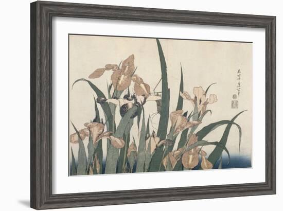 Iris et sauterelle-Katsushika Hokusai-Framed Giclee Print