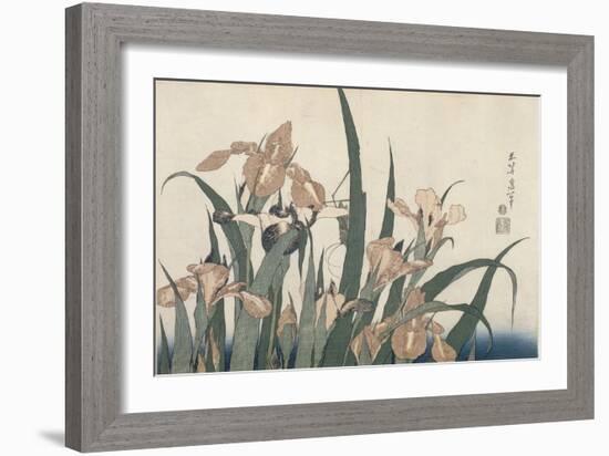 Iris et sauterelle-Katsushika Hokusai-Framed Giclee Print