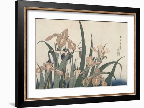 Iris et sauterelle-Katsushika Hokusai-Framed Giclee Print