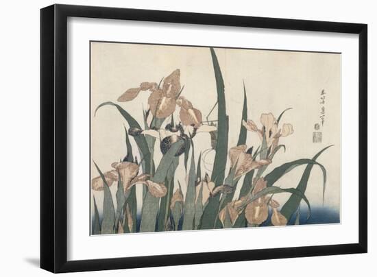 Iris et sauterelle-Katsushika Hokusai-Framed Giclee Print