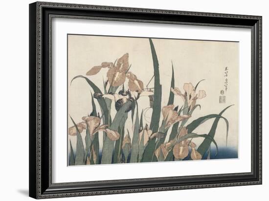 Iris et sauterelle-Katsushika Hokusai-Framed Giclee Print