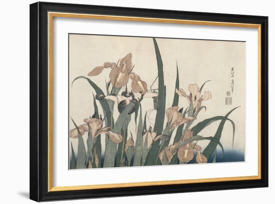 Iris et sauterelle-Katsushika Hokusai-Framed Giclee Print