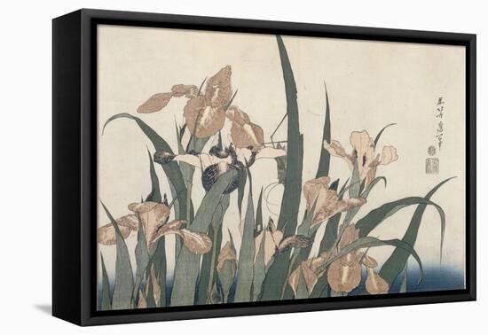 Iris et sauterelle-Katsushika Hokusai-Framed Premier Image Canvas