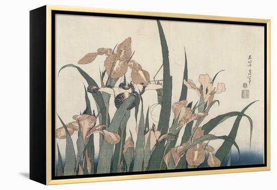 Iris et sauterelle-Katsushika Hokusai-Framed Premier Image Canvas