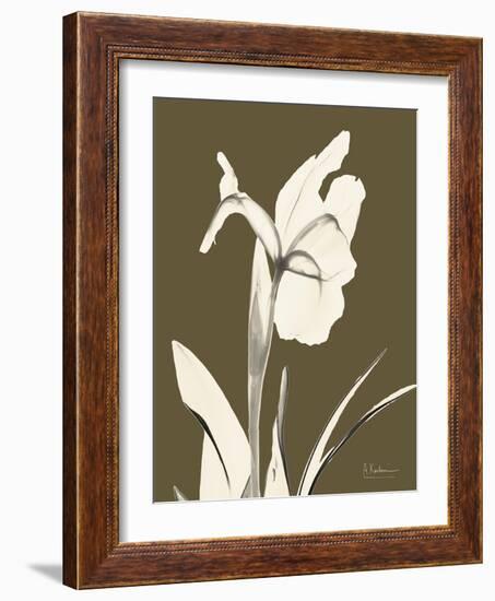 Iris Fall-Albert Koetsier-Framed Art Print