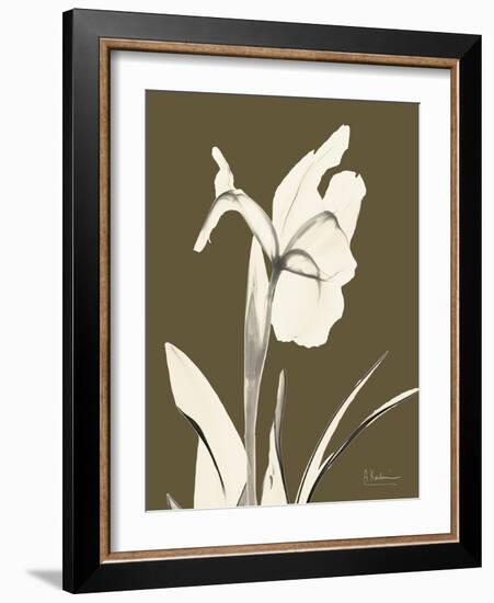 Iris Fall-Albert Koetsier-Framed Art Print