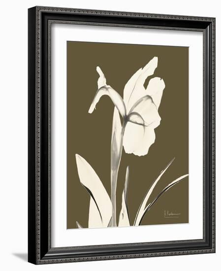 Iris Fall-Albert Koetsier-Framed Art Print