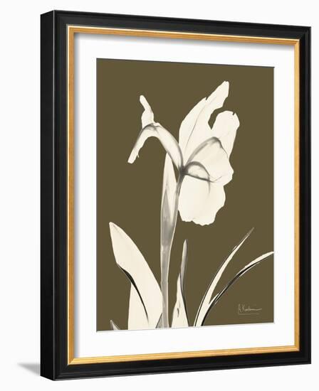 Iris Fall-Albert Koetsier-Framed Art Print