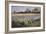 Iris Field and Two Cottages-Timothy Easton-Framed Giclee Print