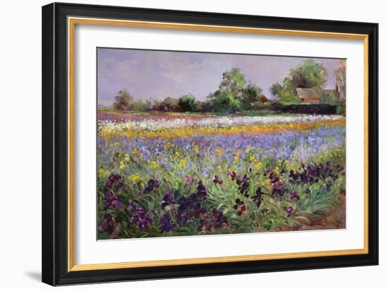 Iris Field and Two Cottages-Timothy Easton-Framed Giclee Print