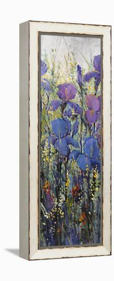 Iris Field II-Tim O'toole-Framed Stretched Canvas