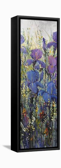 Iris Field II-Tim O'toole-Framed Stretched Canvas